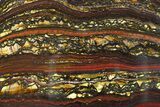 Polished Tiger Iron Stromatolite Slab - Billion Years #351897-1